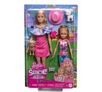 Barbie Stacie Rescue Boîte 2 Poupées Avec 2 Chiots Chien Chat Mattel HRM09