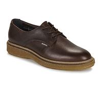 Barbour Derbies HAREFIELD in Marron 41