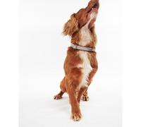 Barbour - Reflective Tartan Dog Collar - Collier pour chien Taupe / Pink Tartan - L
