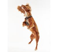 Barbour - Tartan Dog Harness - Harnais pour chien Classic Tartan - S