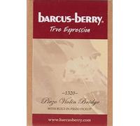 Barcus Berry, Violon électrique à 1 corde, (1320)