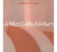 Barefoot in The Head Good So Right (Remix) [Import]