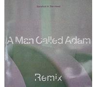 Barefoot in The Head (Remix) [Import]