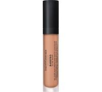 bareMinerals - BAREPRO? 16 HR WEAR ?All Over Skin-Perfecting? Matte Concealer? Mineral SPF 25 - Concealer Light 255 Neutral 7.5 ml
