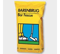 BARENBRUG Graines de gazon Bar Fescue,