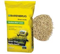Barenbrug Resilient Blue 15 kg - Gazon Robuste, RÉSISTANT AUX Rayures !