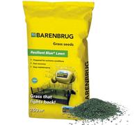 Barenbrug Semences de gazon 5kg jusqu'à 250m2 - Resilient Blue Lawn - Herbe qui combat - Arme votre pelouse contre les conditions météorologiques extrêmes - Récupération rapide - Haute tolérance aux
