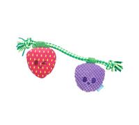 Bark Berry Best Friends Dog Toy, Plush Strawberry and Grape with Rope, Interactive Pet Toy