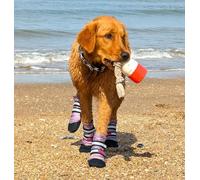 Bark Brite Bottes de Protection légères en néoprène pour Chien conçues pour Plus de Confort et de respirabilité - 5 Tailles (Lavande MD)