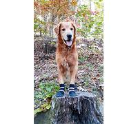 Bark Brite Toutes Les Bottes De Chien Protecteur Temps Néoprène avec Patte Straps- Réfléchissant (LG (3,5 Po.)) Voyage Étui À Fermeture Éclair Inclus