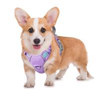 BARKBAY Grand harnais réfléchissant pour chien avec clip avant et poignée de contrôle facile pour la marche, le dressage, la course à pied avec poche pour étiquette d'identité (ciel lavande, M)