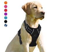 BARKBAY Harnais pour Chien avec Clip Avant résistant réfléchissant et poignée de contrôle Facile pour Promener Un Chien de Grande Taille (Noir, M)