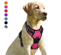BARKBAY Harnais pour Chien avec Clip Avant résistant réfléchissant et poignée de contrôle Facile pour Promener Un Chien de Grande Taille (Rose, XL)