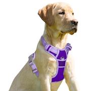BARKBAY Harnais pour chien avec clip avant résistant réfléchissant et poignée de contrôle facile pour promener un chien de grande taille (violet et violet, M)