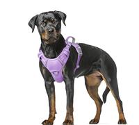 BARKBAY Harnais réfléchissant Anti-Traction pour Chien avec Clip Avant et poignée de contrôle Facile pour la Marche, Le Dressage, la Course à Pied avec Poche pour étiquette d'identité (Violet Violet,