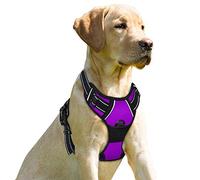 BARKBAY Harnais réglable Anti-Traction pour Chien en matériau Oxford réfléchissant 3M pour Chiens de Petite, Moyenne et Grande Taille (Violet, XL)