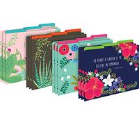 Barker Creek Petals & Prickles Lot de 12 chemises de classement sur papier de 14 points, format lettre, onglets coupés 1/3, fournitures pour la maison, l'école et le bureau (2000)