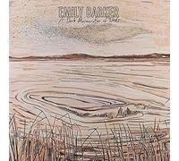 Barker Emily - A Dark Murmuration of Words (Vinyl White) [Import]