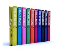 Barkworth & Hathaway Lot de 100 pinces à linge en bois de bouleau multicolores pour loisirs créatifs, affichage photo, projets de bricolage et emballage cadeau | Pinces à linge écologiques