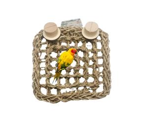 Barn Eleven Tapis en jonc de mer naturel tissé pour oiseau, perruche, hamac avec crochets pour inséparables, calopsittes, conures et perruches (taille S)