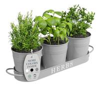 Barnyard Designs Lot de 3 Pots de Fleurs d'intérieur avec Plateau, Rebord de fenêtre en métal avec Drainage pour Plantes d'extérieur ou d'intérieur, Gris