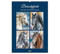 Barockpferde. Stolz, Kraft und klassische Harmonie (Wandkalender 2027 DIN A2 hoch), CALVENDO Monatskalender: Diese Bilder zeigen die majestätische ... Pferderassen in ausdrucksstarken Portraits.