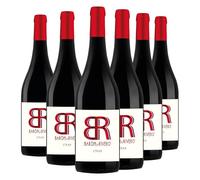 Barón de Rivero Syrah 75 cl - Pack de 6 Bouteilles - Vin rouge jeune