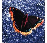 Intuition – The Baroness : Royal Treatment