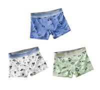 BaronHong Boxer panda pour Tomboy Masc Studs Lesbiennes Mode Neutre Sous-vêtements Coton Taille Large, Lot de 3 boxers (B), L
