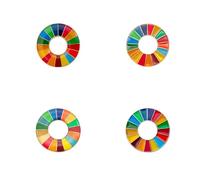 BaronHong Broche Objectifs de développement durable, badge à épingler des Nations Unies SDG, épinglette arc-en-ciel, décoration en émail, M, Acier inoxydable