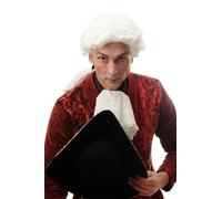 Baroque Homme Perruque Noble Lord Richter Poète Blanc Bouclé Long Tresse