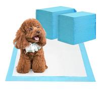 Barpor Alaise pour Chien 60x60cm - Aleses Jetables pour Chien 100 Pièces, Tapis de Propreté Chien Tapis pour Chiot Anti-Fuite, Super Absorbants, Design à 5 Couches avec Surface à Séchage Rapide