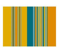 Barquette de 500 sets de table papier gaufré, Canard - Format 30x40cm - Canard