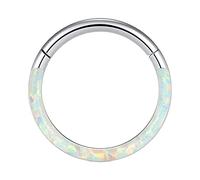 Barre à tige 16 g - Anneaux de septum en opale - Anneau de nez et de lèvre - Anneau segment à charnière en acier inoxydable - Boucles d'oreilles pour cartilage, tragus, septum, bijou de nez en forme