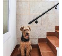 Barre d'appui extérieure, Rampe d'escalier Rampe Murale en Fer forgé Noir, Barre d'appui de sécurité avec Fixations, 1m 1.5m 2m 2.5m 3m, Noire(100cm)