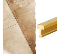 Barre de Seuil Profilé Transition Laiton Massif Brossé, Disponible 100 120 130 140 150 160cm, Joint-joint Mince Parquet Carrelage, Moulure T Encadrement Porte Mur(L100cm/40",W4xH6mm(0.16x0.24"))