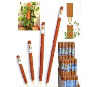 Barre de soutien des plantes coco ¤45/1800mm