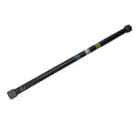 Barre de torsion 69-0693 MAXGEAR pour RENAULT MEGANE Scénic MEGANE I Grandtour