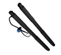 Barre support hayon Pour Ford Pour Explorer Tige support hayon électrique GB5Z14B351A LB5BS402A55AE GB5Z78406A10A LB5Z14B351A Vérin à gaz double(LH)