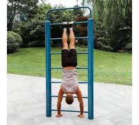 Barres de Traction pour Musculation, échelle à Barres Horizontales avec Barres de 7/8, équipement de Fitness d'extérieur pour étirements, Musculation et Coordination corporelle(B)