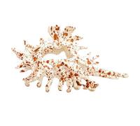 Barrette à cheveux en coquillage - Accessoire de cheveux pour fille - Élégante barrette en coquillage pour femme - Pour le sport, la vie quotidienne, les loisirs, les mariages et les fêtes