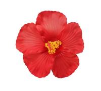 Barrette à cheveux en forme de fleur réaliste pour femme et fille, élégante pince de simulation, parfaite pour les vacances à la plage et les célébrations, accessoires hibiscus