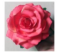 Barrette Fleur Cheveux Lot de 3 épingles à cheveux en forme de rose artificielle for mariage, fête, femme(Sunset red)