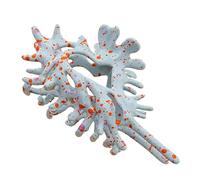 Barrettes à cheveux en coquillage, élégantes pour cheveux épais ou fins, style plage, en coquillage, longue durée de vie, pour coiffures hautes, élégantes et toutes