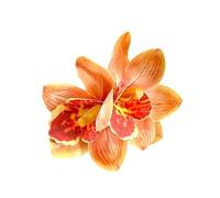 Barrettes à cheveux en forme de fleurs hawaïennes - En résine antidérapante - Pour les vacances, les festivals, les voyages, les mariages, les fêtes prénuptiales, l'été, le Nouvel An, les