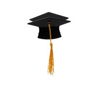 Barrettes de remise de diplôme : pinces à chapeau avec pompons, accessoires antidérapants, accessoire festif | Chapeau de remise de diplôme pour femmes filles Grad