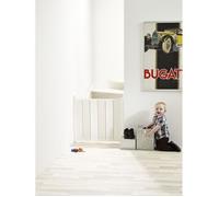 Barrière de sécurité escamotable Guard Me - BABYDAN - Plastique