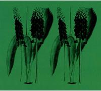 Mark Barrott - Nature Sounds of The Balearics