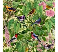 Barrott Mark - Sketches from an Island [Import]