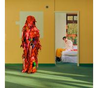 Barry Can't Swim - Loner (Gold & Red Vinyl) [VINYL]